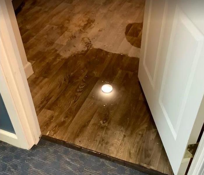 puddle of water on hardwood floors